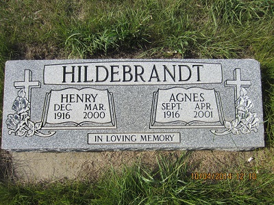 09HildebrandtHenry